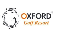 logo8